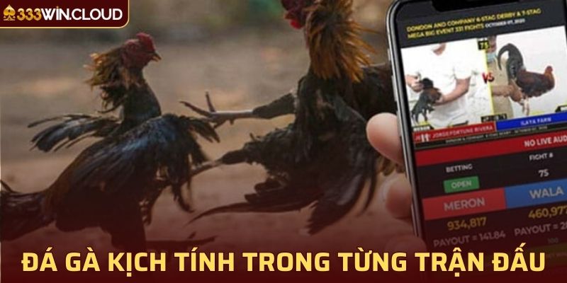 Đá gà 33WIN hấp dẫn, kịch tính trong từng trận đấu