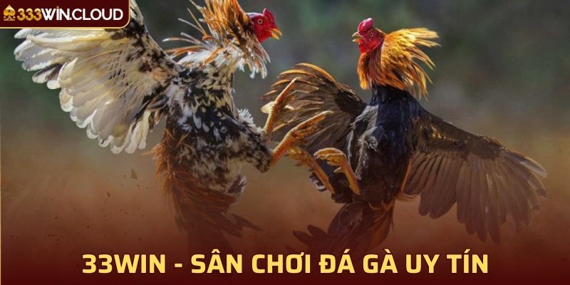 33WIN - Sân chơi đá gà trực tuyến uy tín