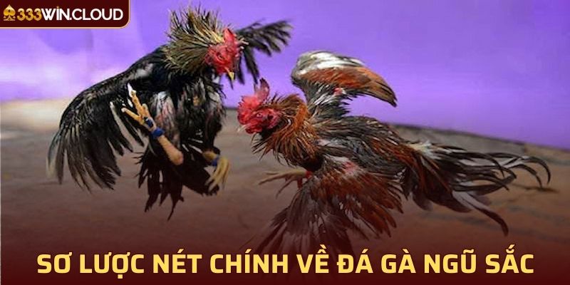 Sơ lược những nét chính về đá gà ngũ sắc