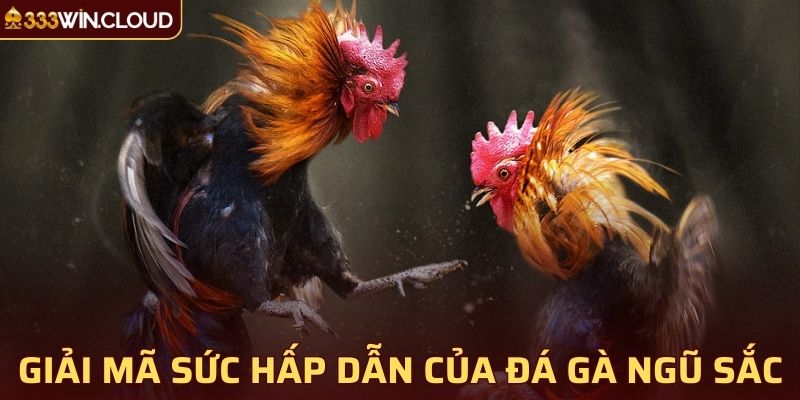 Lý giải sức hấp dẫn của đá gà tại 33WIN