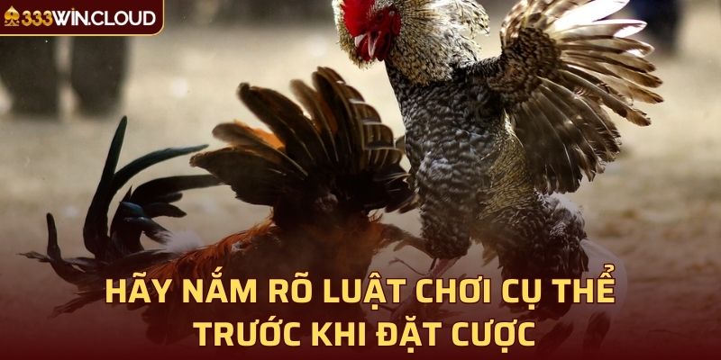 Hãy nắm rõ luật chơi cụ thể trước khi đặt cược