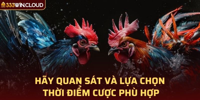 Hãy quan sát và lựa chọn thời điểm cược phù hợp