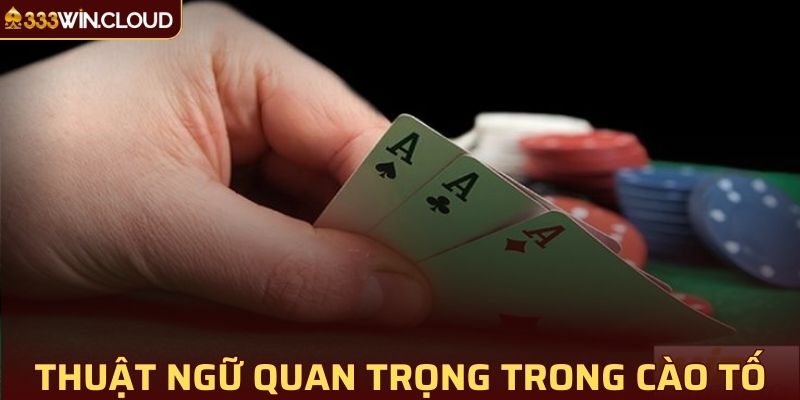 Tổng quan các thuật ngữ quan trọng trong game cào tố