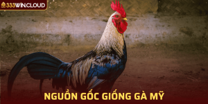 Giới thiệu về nguồn gốc/lai lịch gà